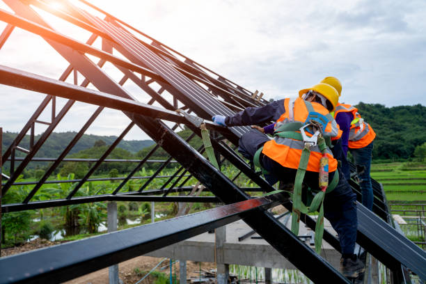 Best Roof Replacement Cost  in Walnut Creek, NC